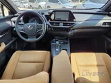 Lexus UX 300H 2024